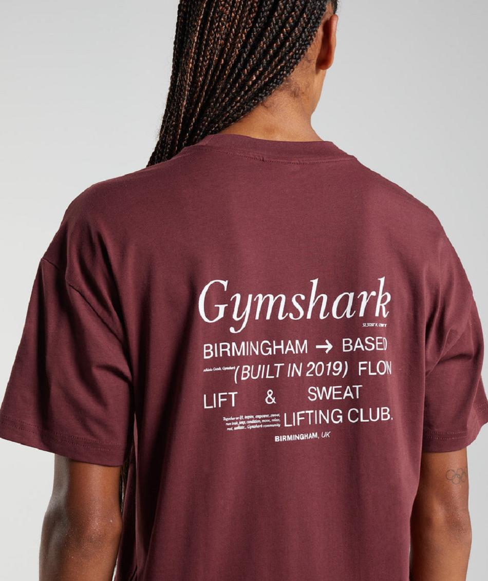 T Shirts Gymshark Social Club Oversized Mujer Rosas Marrones | CO 2239XYU